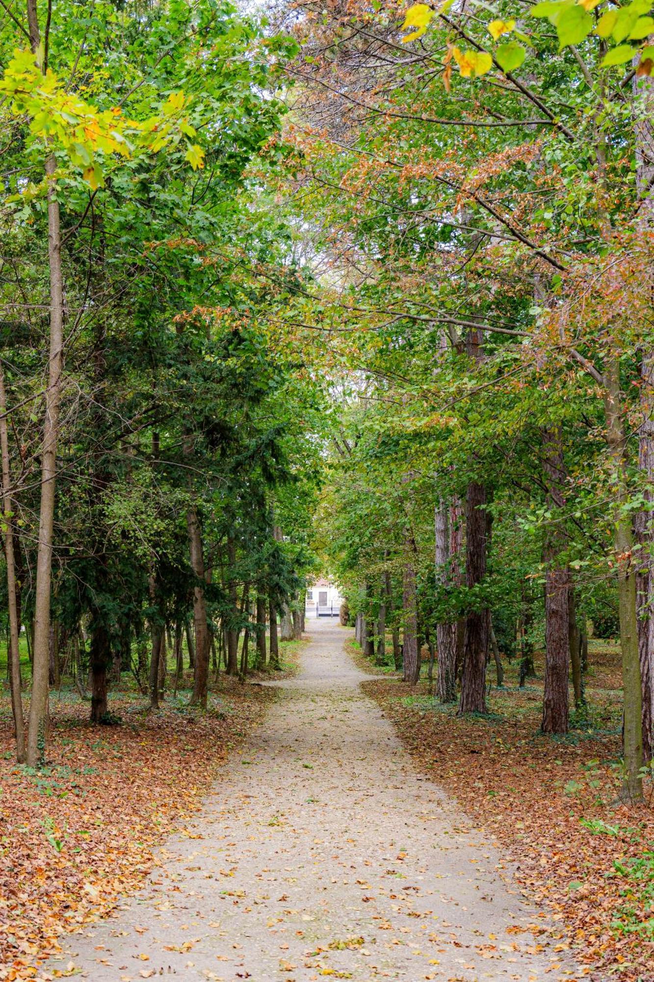 Villa Rose Close To Vienna & Airport Maria Ellend Buitenkant foto