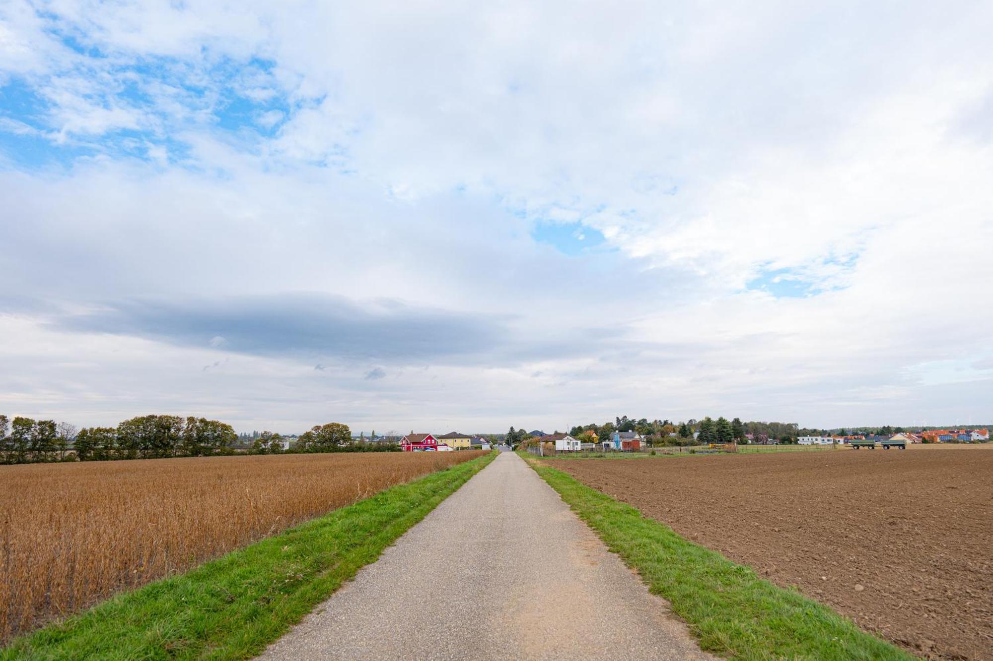 Villa Rose Close To Vienna & Airport Maria Ellend Buitenkant foto