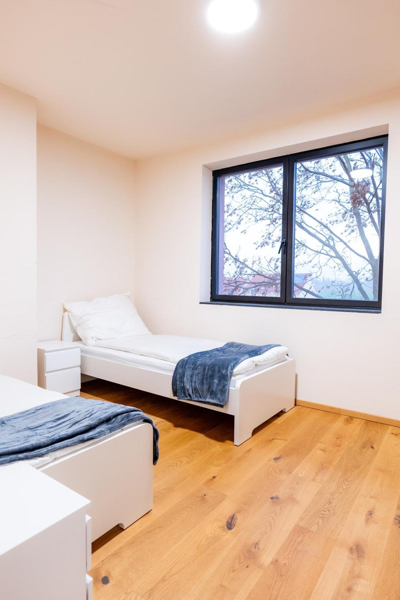 Villa Rose Close To Vienna & Airport Maria Ellend Buitenkant foto
